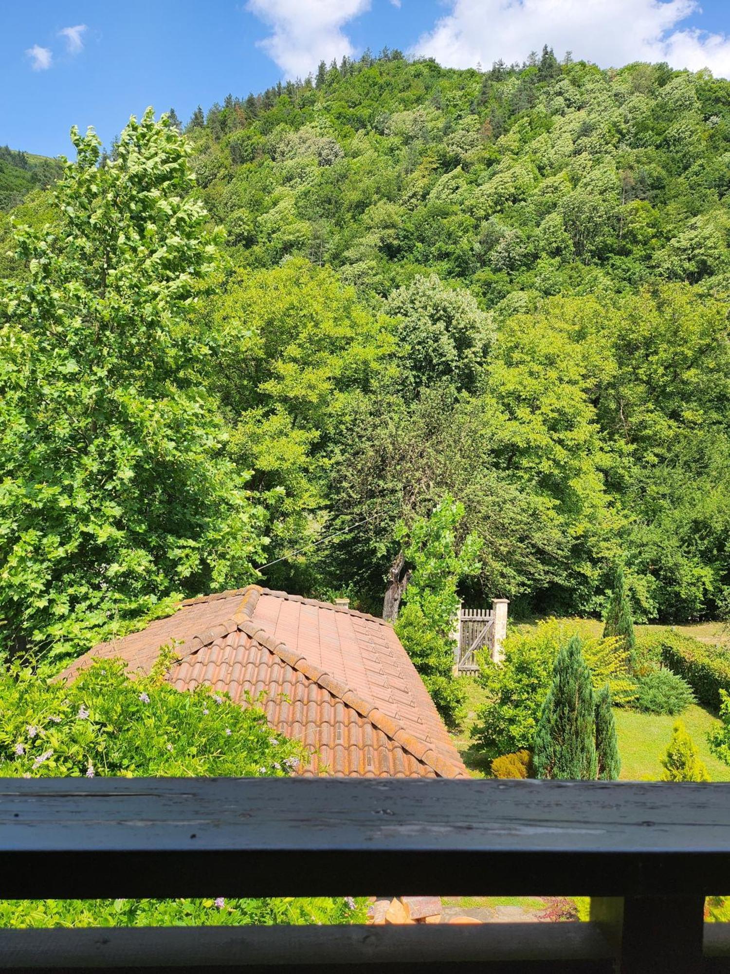 Eco Residence Ribaritsa Exterior foto