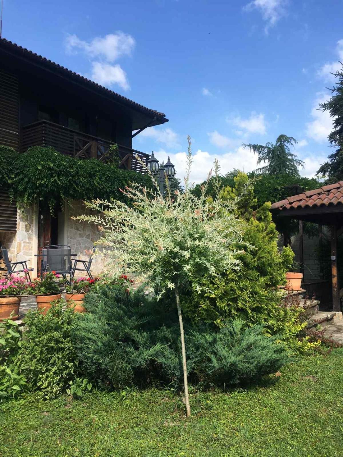Eco Residence Ribaritsa Exterior foto